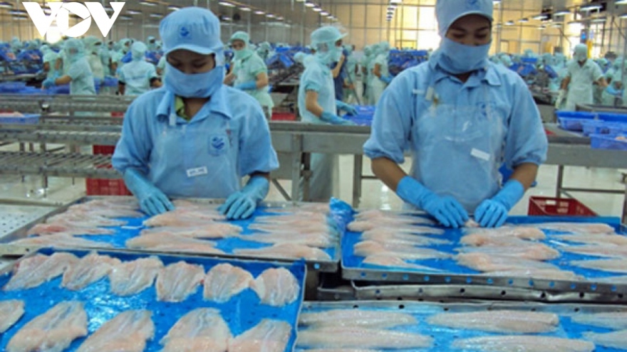 Vietnamese pangasius widely consumed in Nordic market
