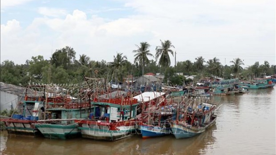 Quang Ninh makes progress to remove EC fishing "yellow card"