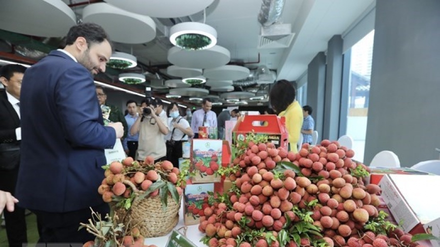 Vietnamese lychees aim to go global