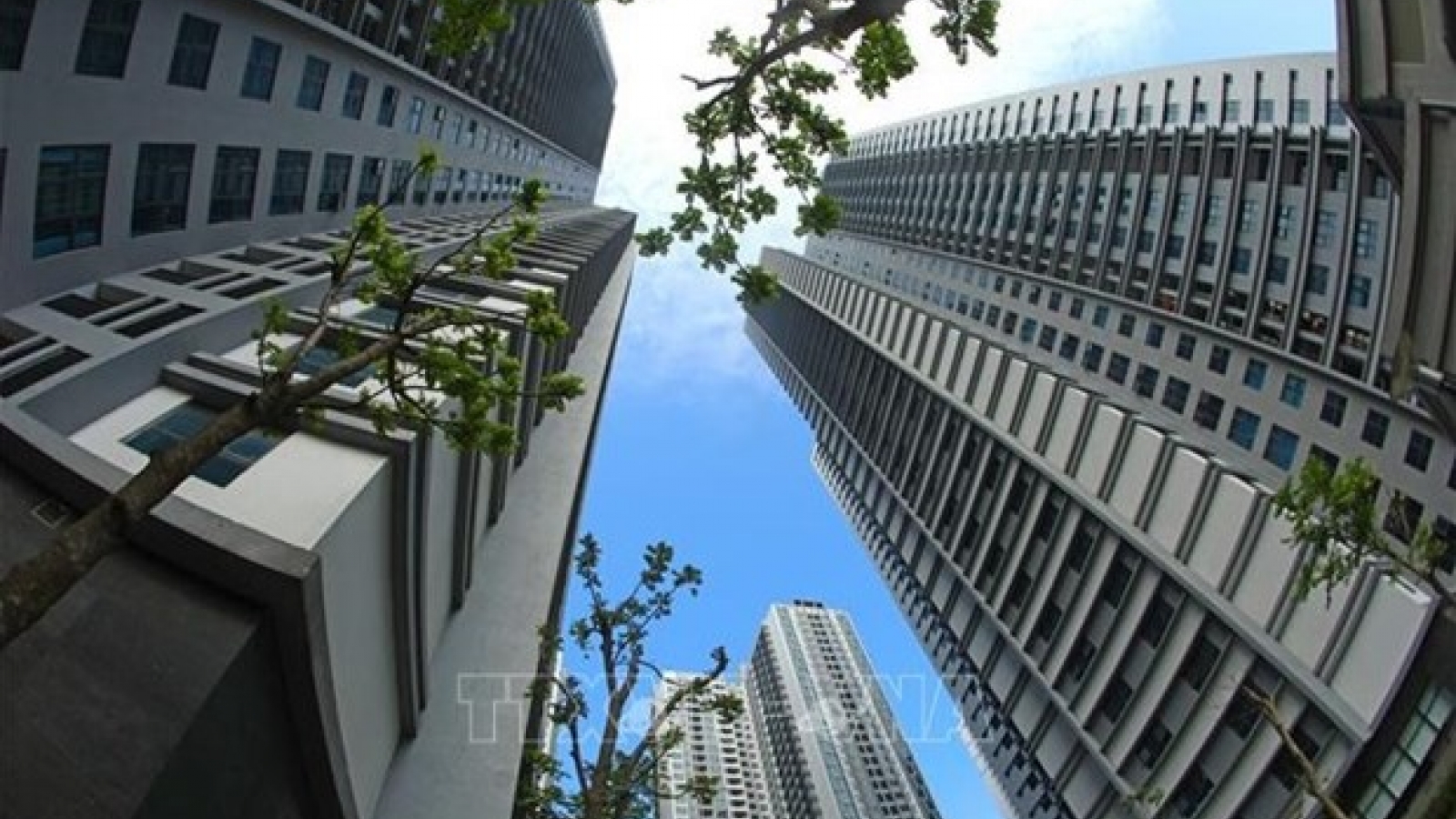 Nationwide urbanisation rate reaches 41%