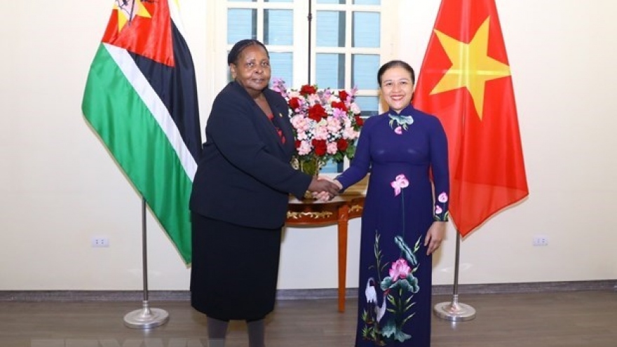 VUFO President suggests Vietnam and Mozambique deepen friendship
