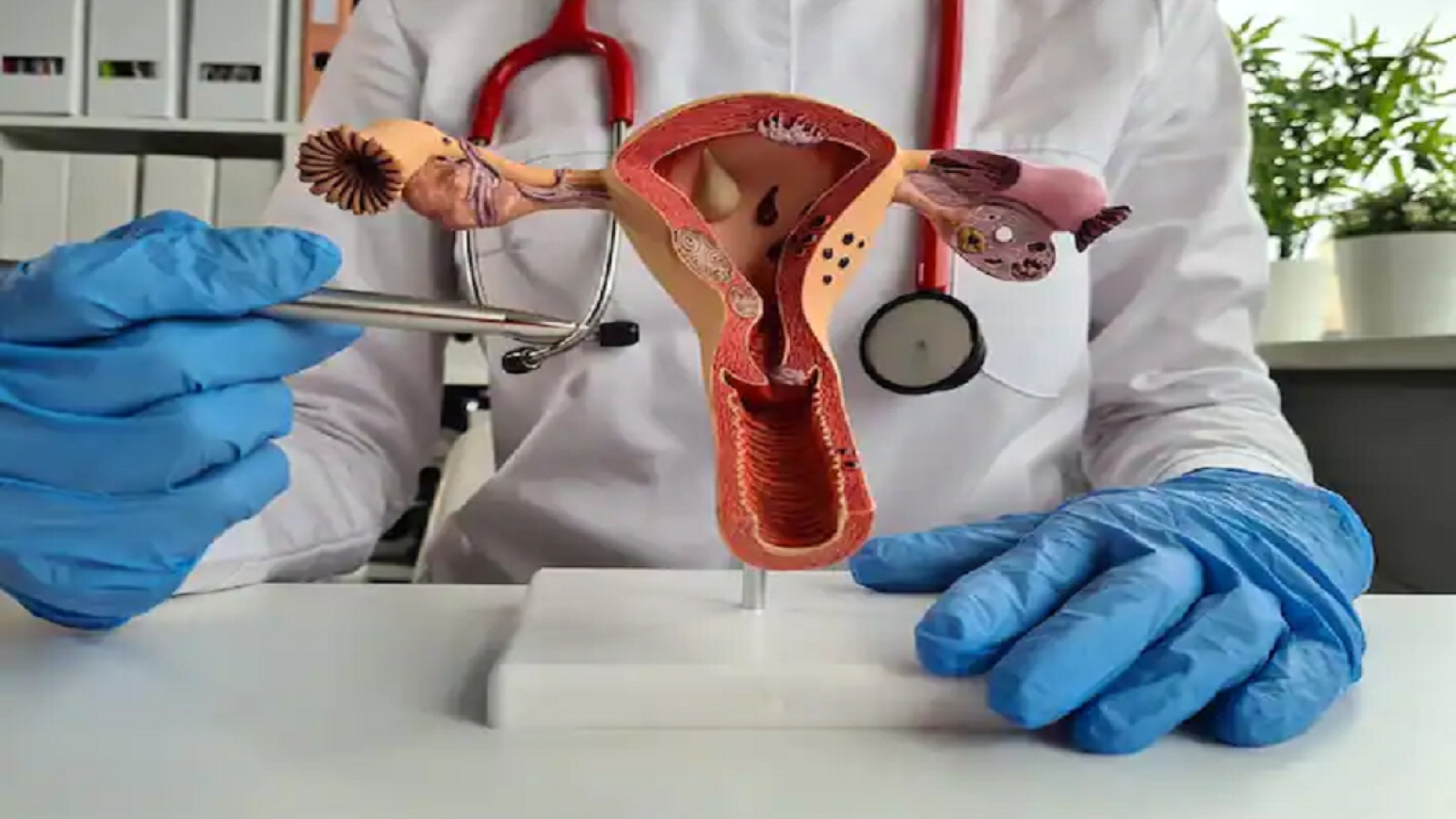 7 điều phụ nữ nên làm để chăm sóc sức khỏe sinh sản và tình dục