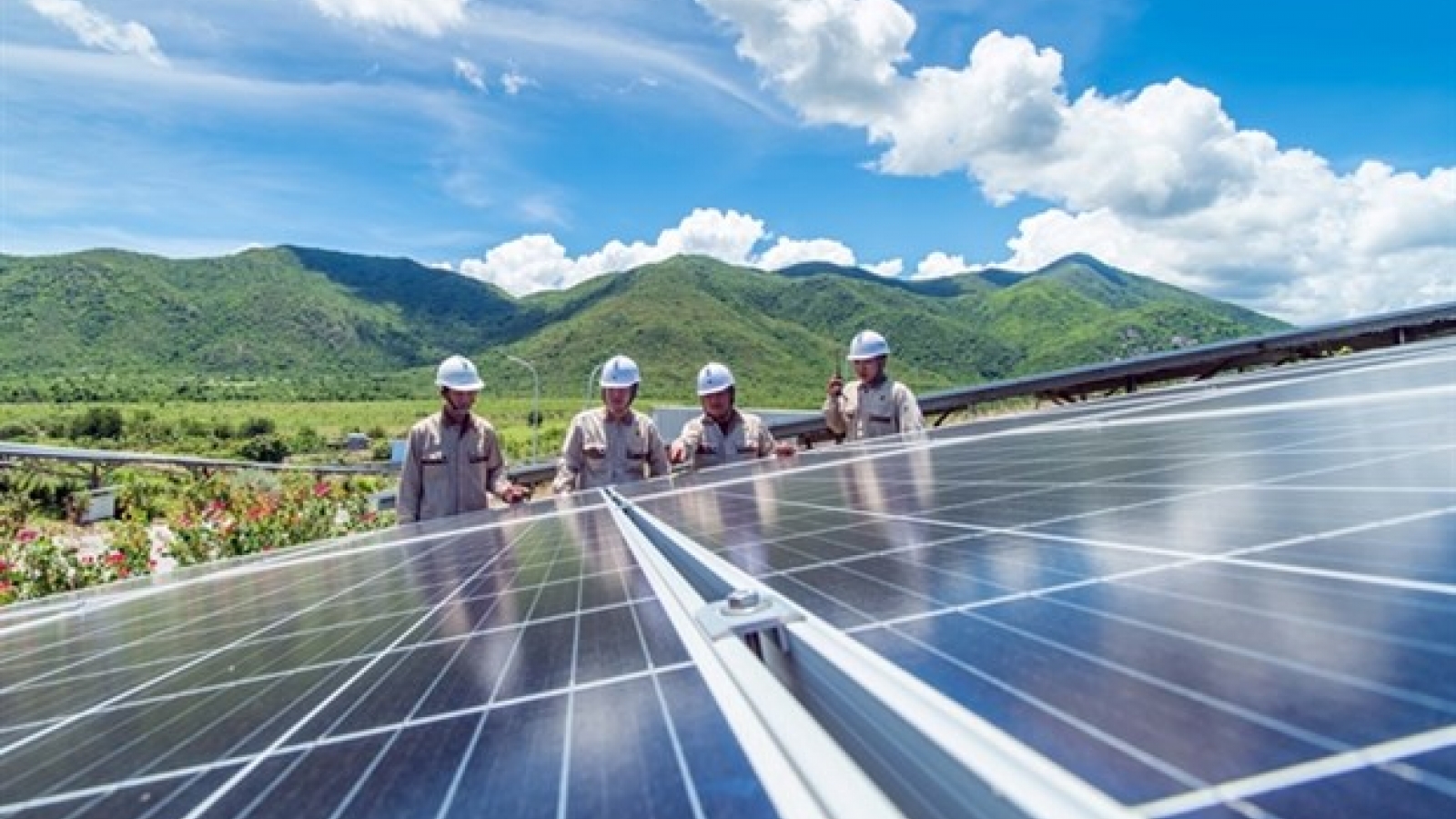 Ninh Thuan leads country in renewables development 