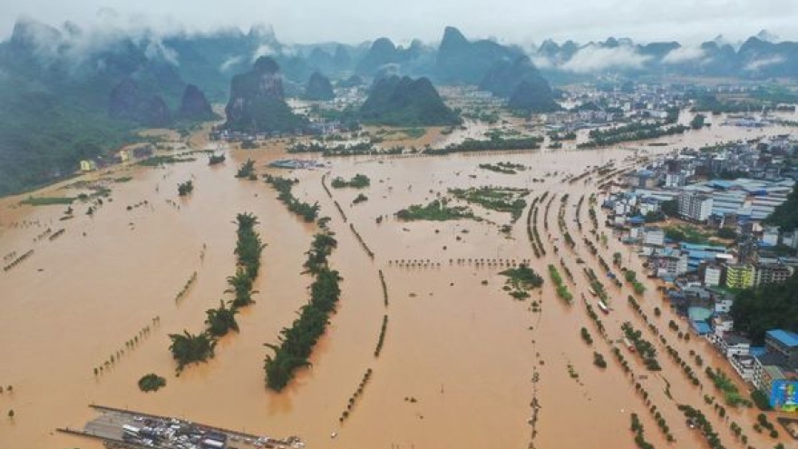 Thảm họa "Thiên nga đen" sẽ hiện hữu nếu chủ quan, xem nhẹ bảo vệ đê điều