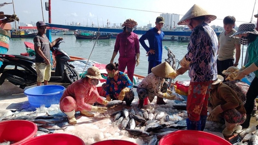 "Nghề cá ở Trường Sa phát triển là cột mốc chủ quyền di động vững chắc"