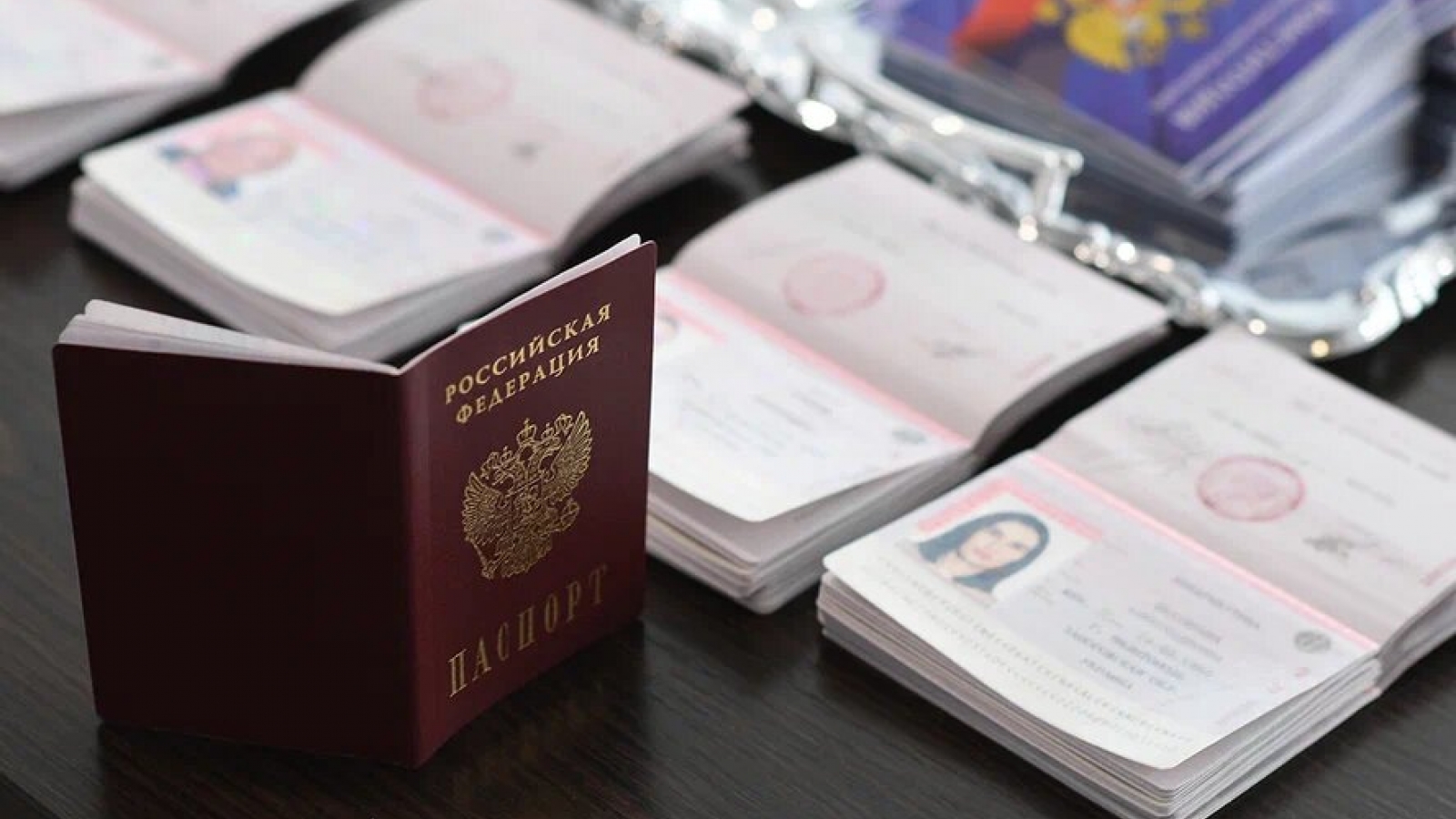 Tất cả công dân Ukraine có thể nhập quốc tịch Nga theo thủ tục đơn giản 
