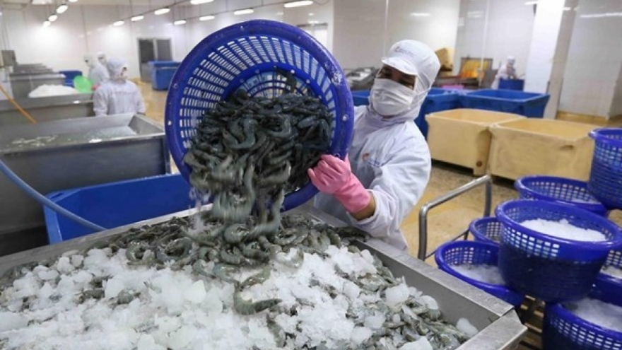 Shrimp processors to eye Japanese market in second half of 2022