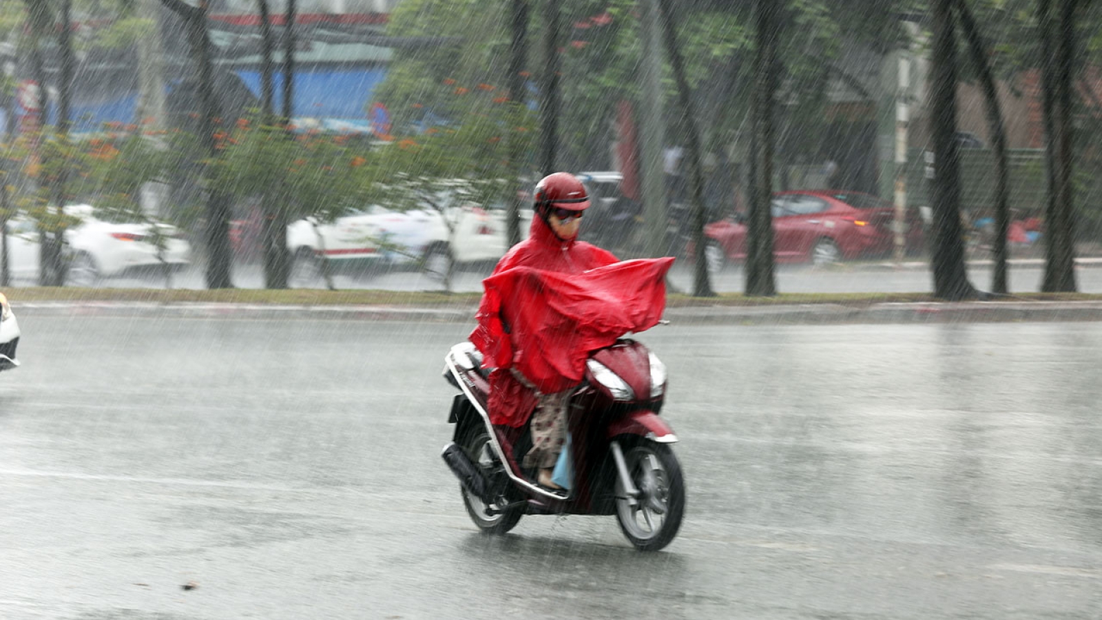 Climate extremes and dangers to Vietnam