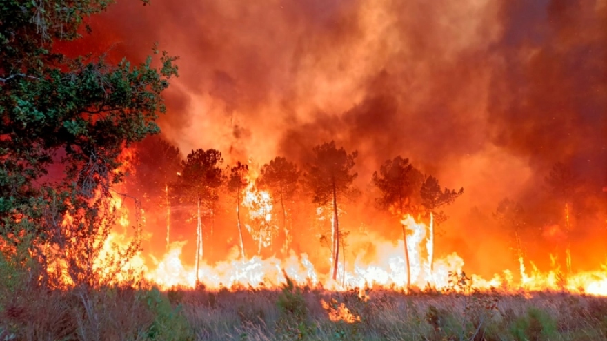 Nguyên nhân cháy rừng kinh hoàng hoành hành khắp châu Âu