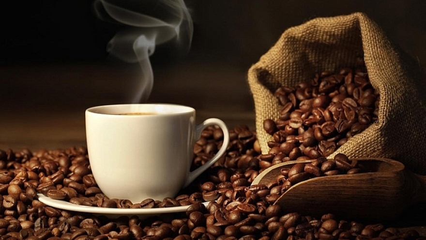 Coffee exporters explore African market opportunities 