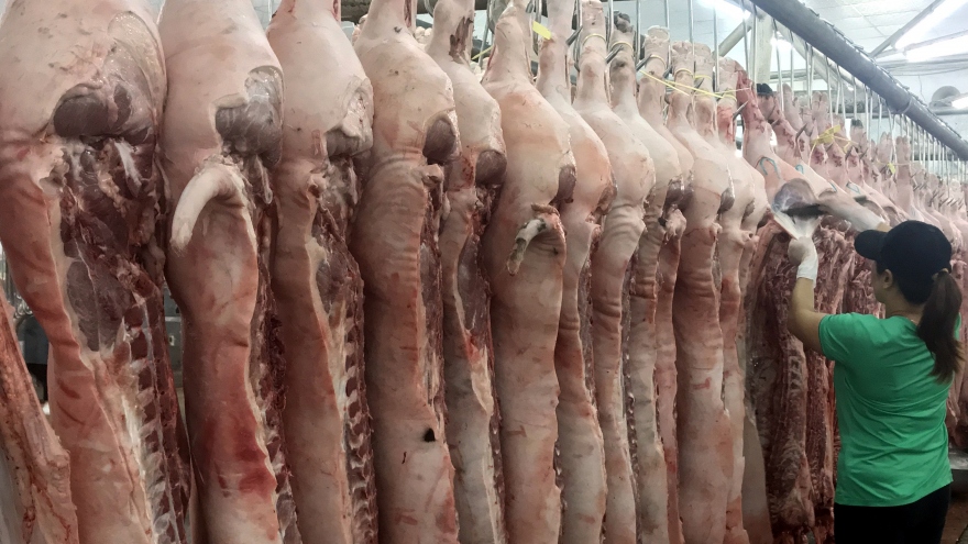 Vì sao chưa nhập khẩu thịt lợn để ngăn đà tăng giá?