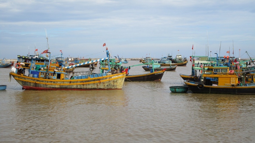 Tàu cá cùng 18 người bị mất liên lạc trên vùng biển Bình Thuận