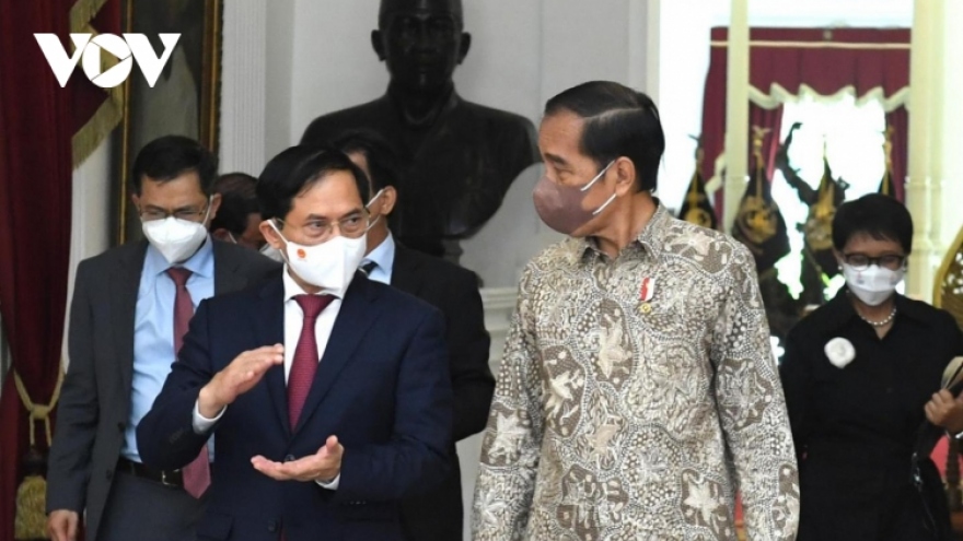 FM Bui Thanh Son meets Indonesian President Widodo in Jakarta