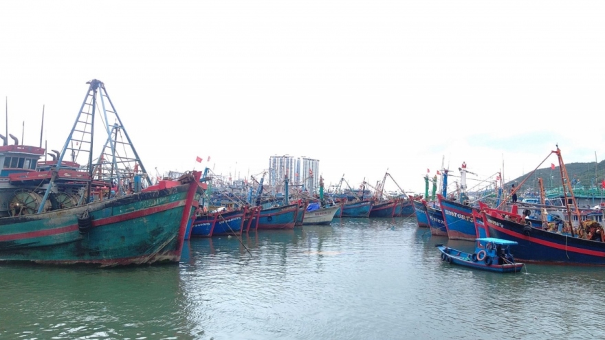19 tàu cá ở Khánh Hòa bị đưa vào “diện mất tích”