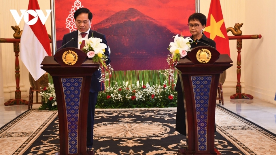 Vietnam, Indonesia set sights on US$15 billion trade by 2028 
