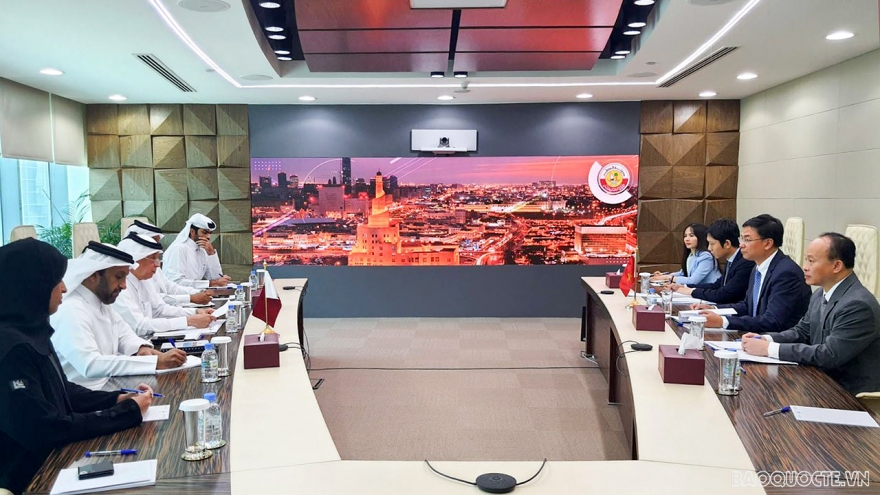 Vietnam, Qatar hold political consultation in Doha 