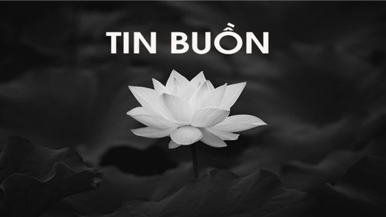 Nhạc sĩ - NSƯT Lê Đình Lực qua đời