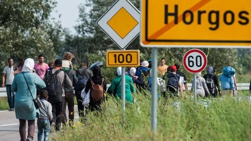 Đụng độ gần biên giới Serbia-Hungary, 8 người di cư thương vong