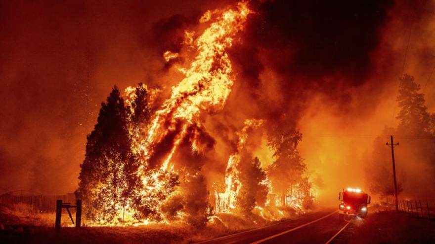 Hàng nghìn người phải sơ tán vì cháy rừng lớn nhất năm ở California