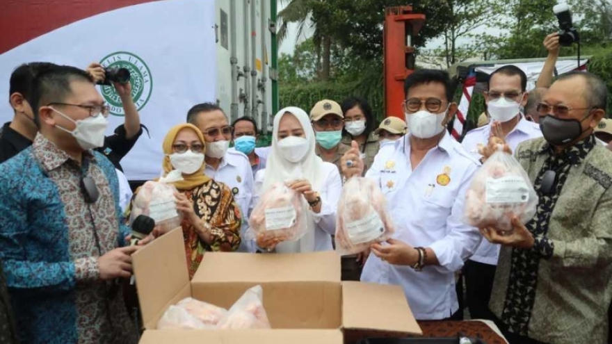 Indonesia giúp Singapore giải bài toán thiếu hụt gà