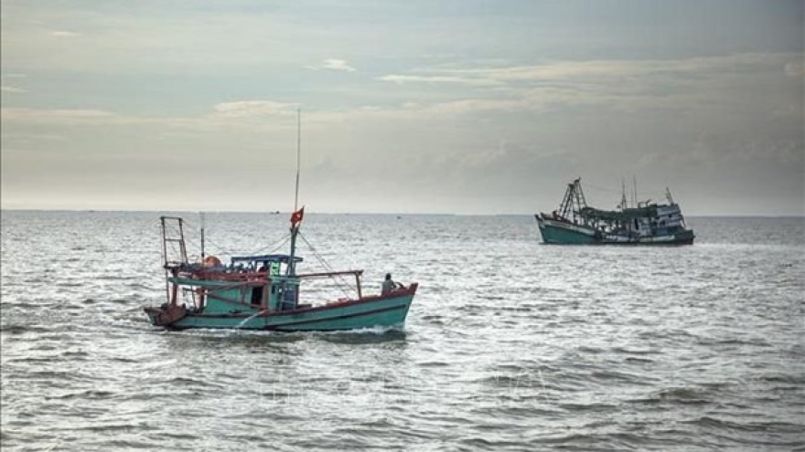 Vietnam ready to cooperate and share experience in combating illegal fishing