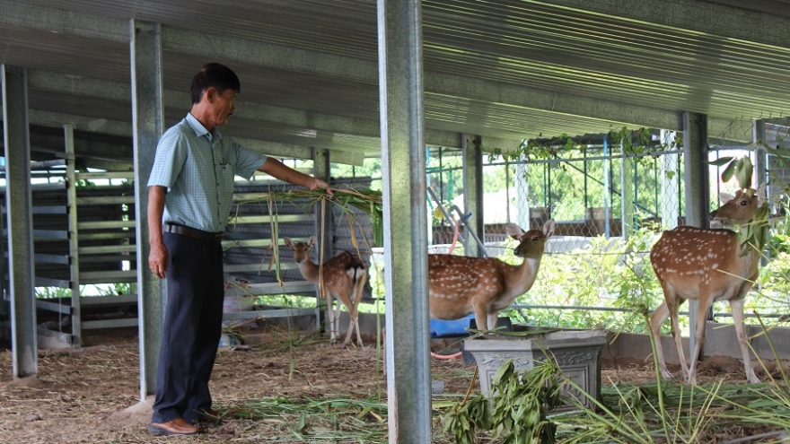 Cựu chiến binh “đãi vàng” trên vùng đất nắng gió