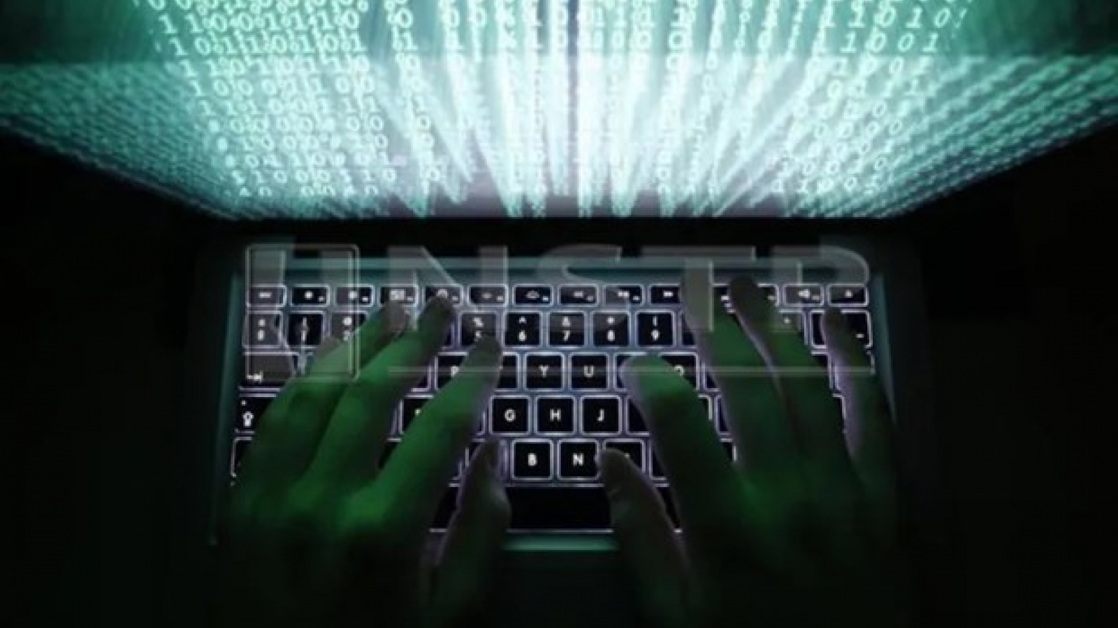 Over 450 infringing domain names detected: VNNIC