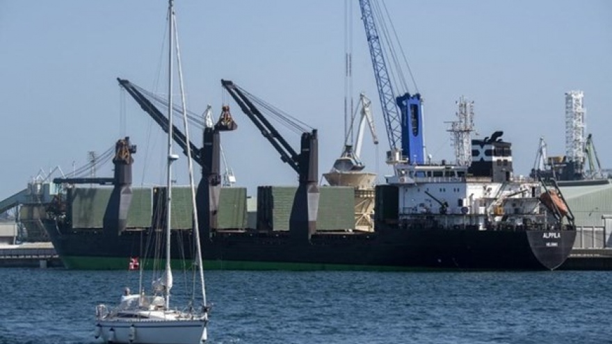 Ukraine công bố video tàu chở hàng di chuyển từ Biển Đen tới sông Danube