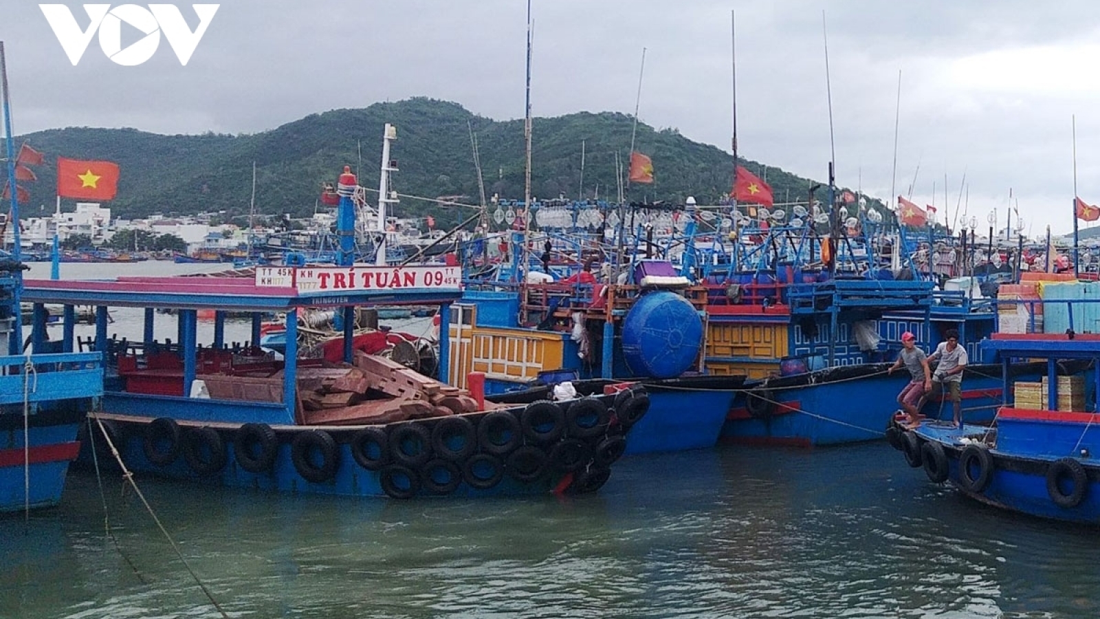 Over 60,000 fishing vessels urged to seek safe shelter from storm Chaba