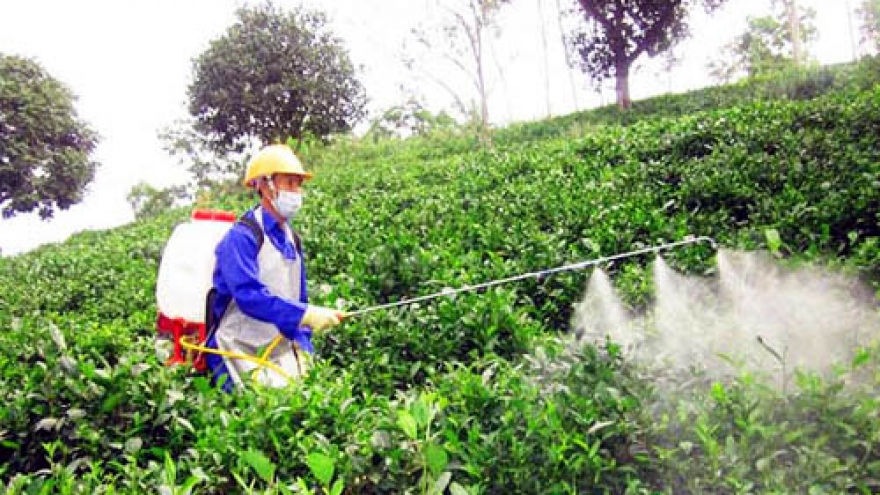 Rà soát thông tin mẫu rau quả, thuỷ sản có dư lượng hóa chất 