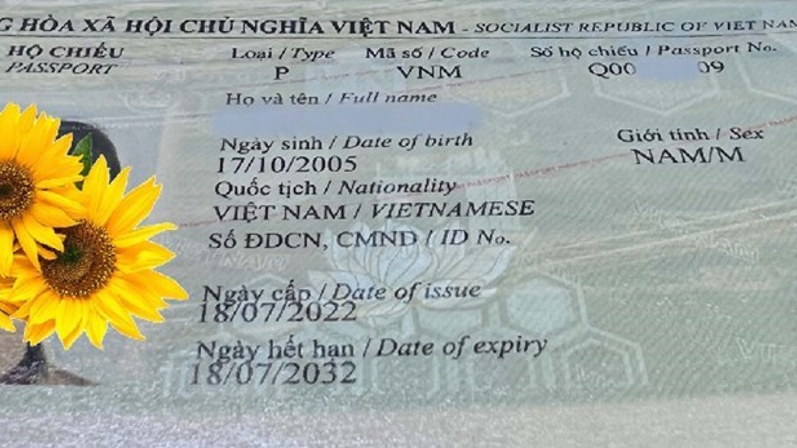 Vietnam Embassy in Germany issues certificate for holders of new-style passports