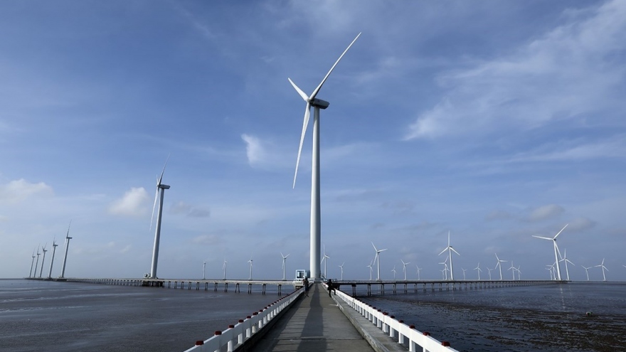 Vietnam needs strong financial sector to decarbonise economy: UN official