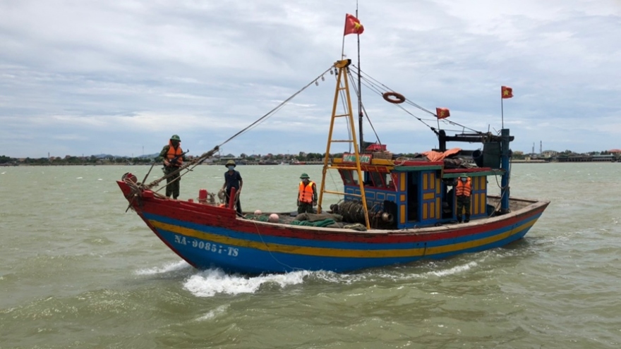Tăng cường kiểm tra, rà soát tình trạng khai thác hải sản trái phép ở Hà Tĩnh