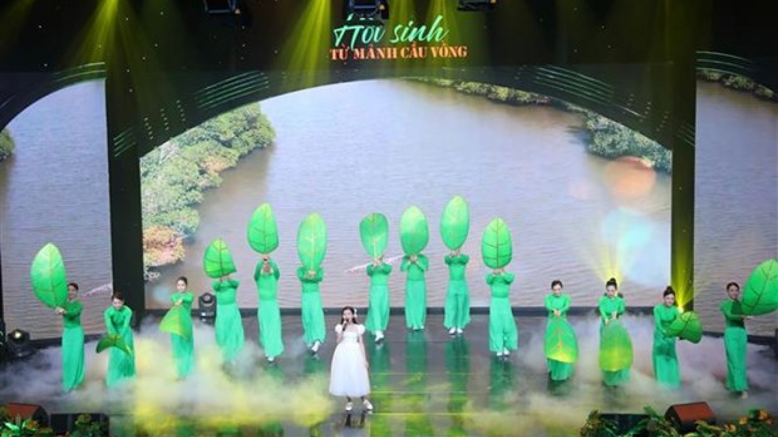 Art programme raises awareness on AO/dioxin disaster in Vietnam