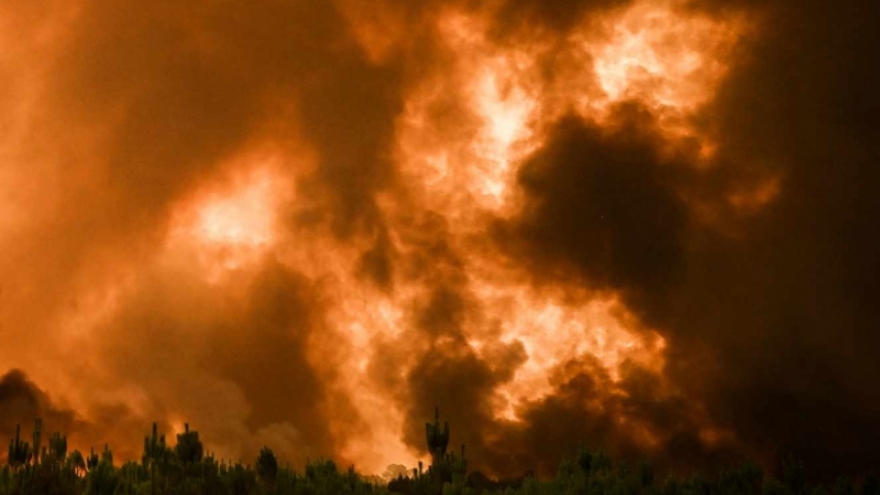Nắng nóng và khô hạn khiến cháy rừng tại Pháp bùng phát trở lại