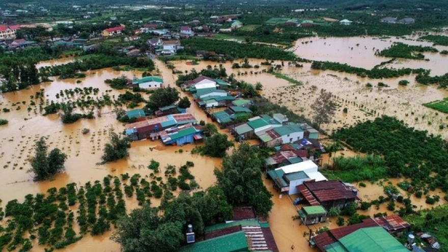 Vietnam promotes int’l cooperation for completing climate commitments