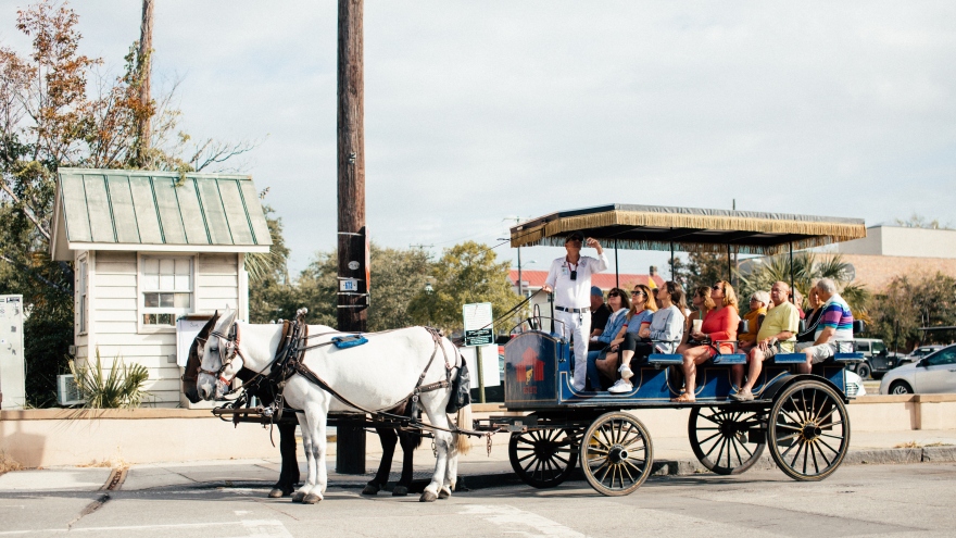 Những lợi ích không ngờ tới của du lịch theo tour