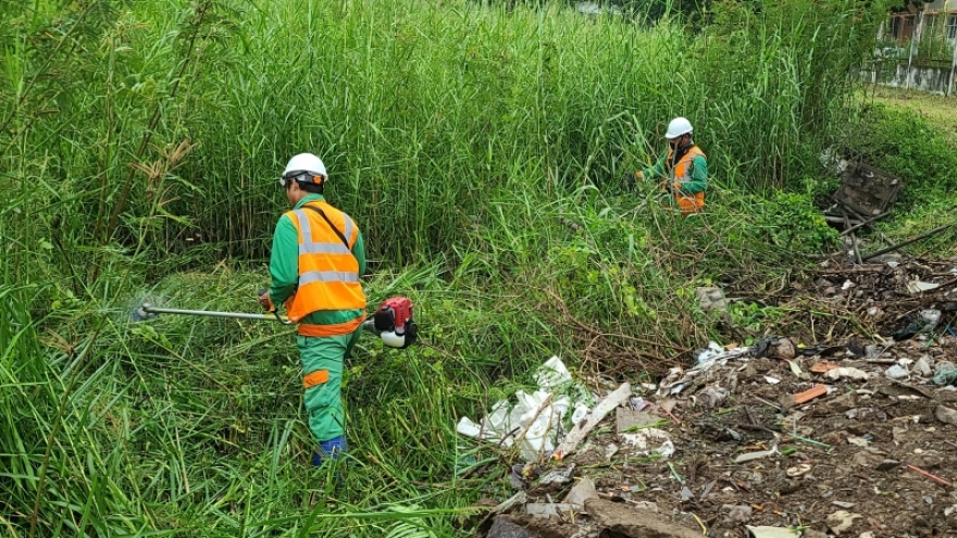 TP.Thủ Đức phát động tháng cao điểm phòng, chống dịch sốt xuất huyết