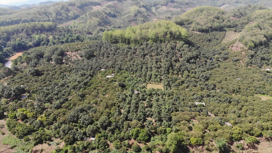 Tây Bắc và những lợi thế mời gọi đầu tư