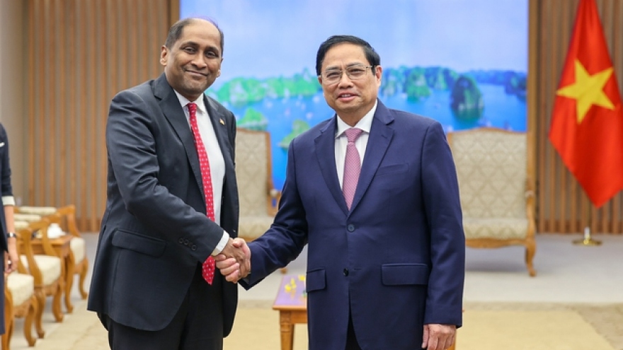 Thủ tướng Phạm Minh Chính tiếp Đại sứ Singapore và Giám đốc Quỹ Temasek 