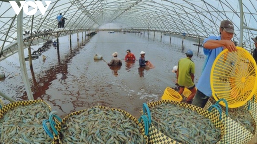 Xây dựng, phát triển các vùng nuôi thủy sản đảm bảo an toàn thực phẩm