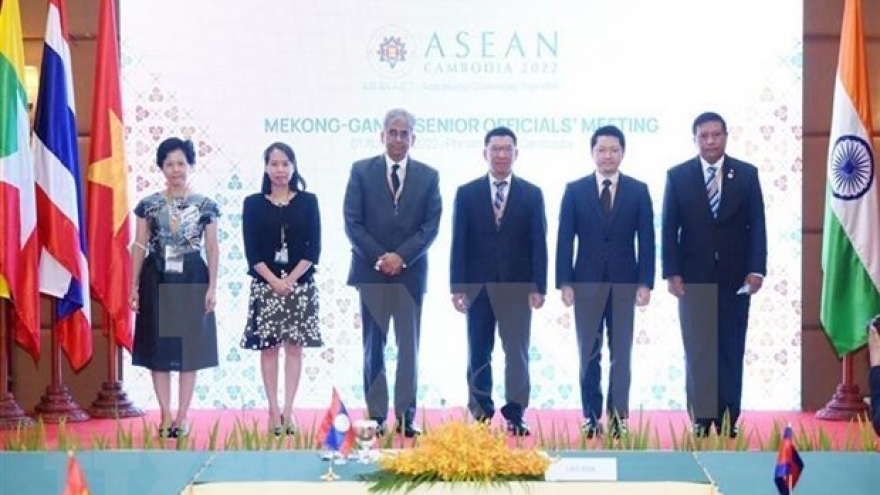 Vietnam attends Mekong-Ganga Senior Officials' Meeting