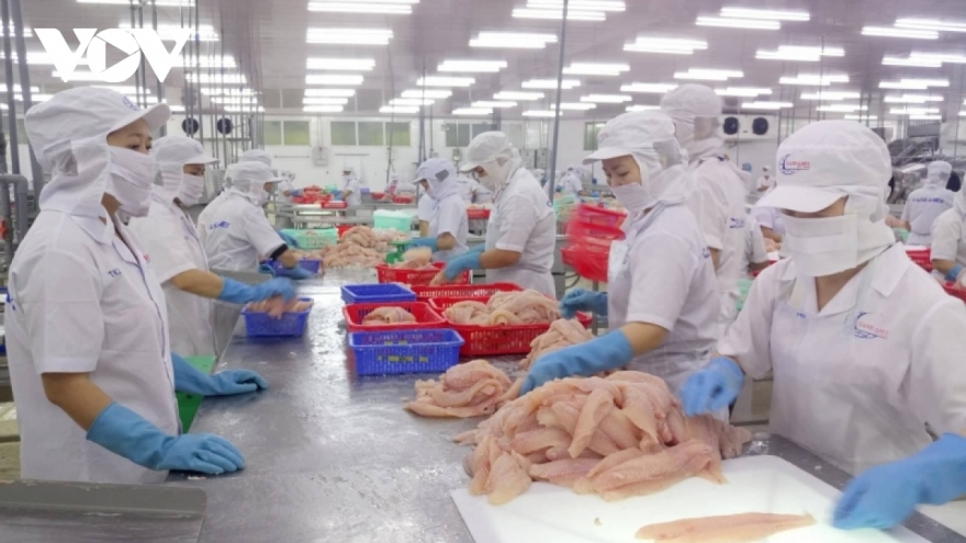 US, China become largest consumers of Vietnamese pangasius