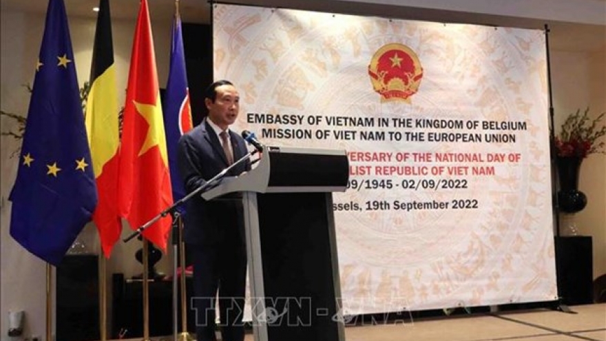 Vietnam’s relations with Belgium, EU now at their prime: ambassador