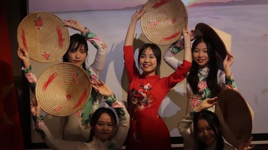 Vietnam Culture Week 2022 underway in Hungary