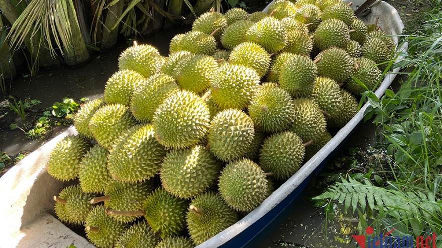 Chinese fond of branded produce, but Vietnam’s durian remains unknown