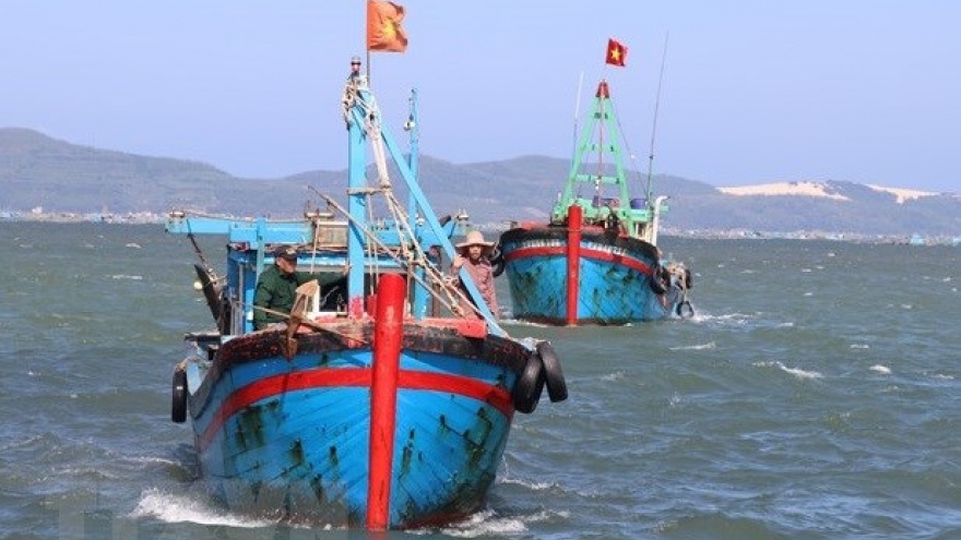 Vietnam maintains efforts to fight IUU fishing