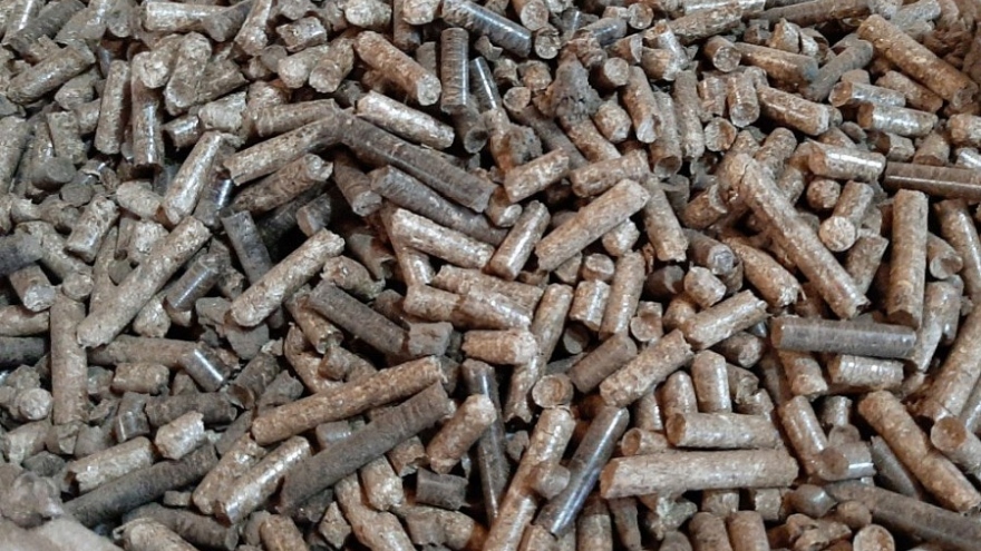 Vietnam ranks second globally for wood pellet exports