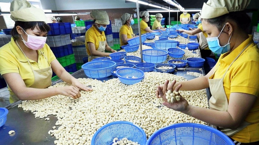 National trade turnover with Laos continues to rise