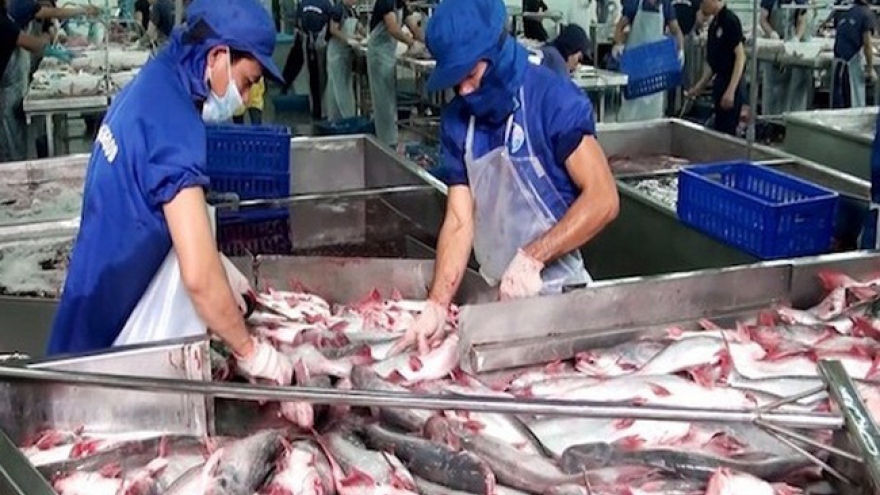 Pangasius exports to UK market soar considerably over 8 months 